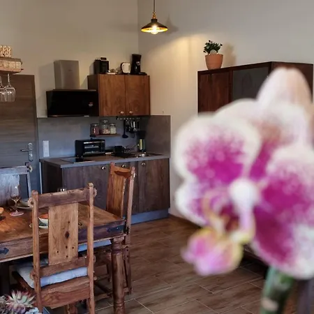 Bonita Del Kaiserstuhl شقة ساسباخ آم كايزرشتول