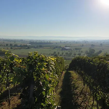 Bonita Del Kaiserstuhl *